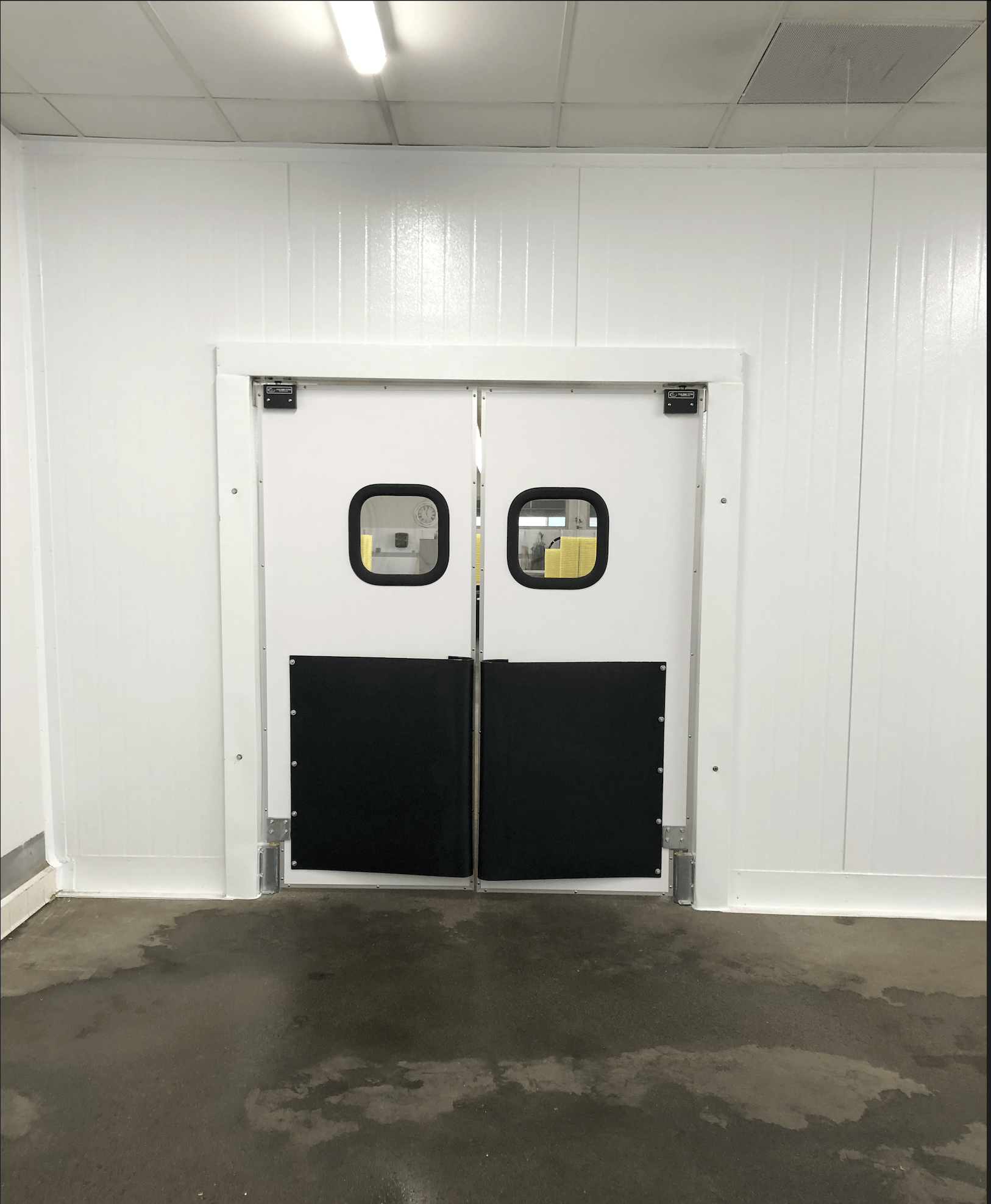 Double doors with small windows lead to a sterile area